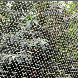 Pigeon Protection Net