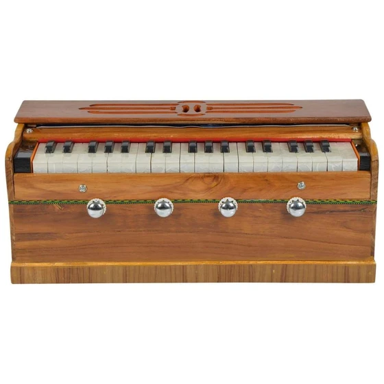 indian-musical-instruments-2.webp