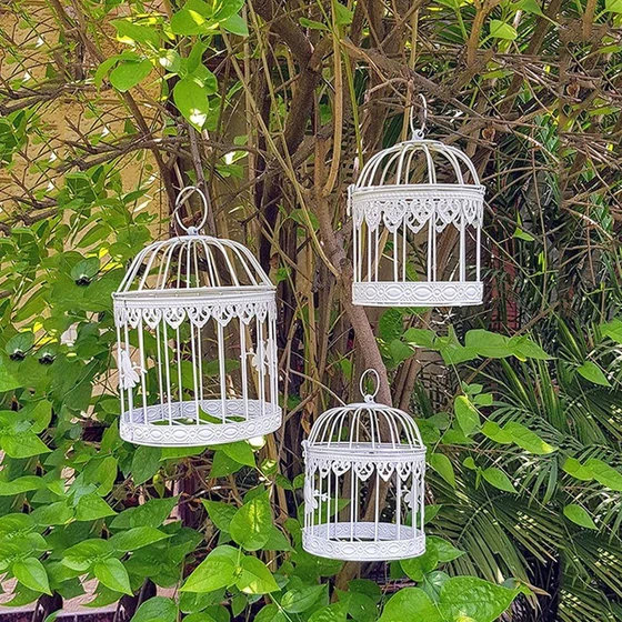 decorative-bird-cages-2.webp
