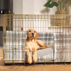 Dog Square Cage
