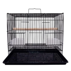 Black Bird Cage
