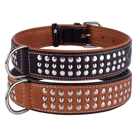 pet-dog-collar-2.webp