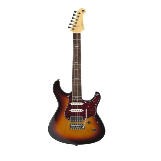 professional-singing-guitar-1.webp