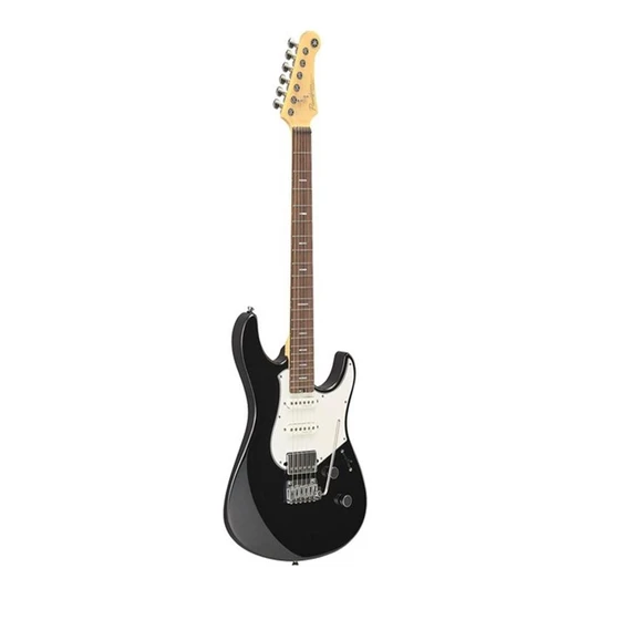 professional-singing-guitar-2.webp