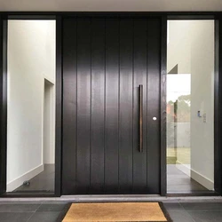 Main Contemporary Door