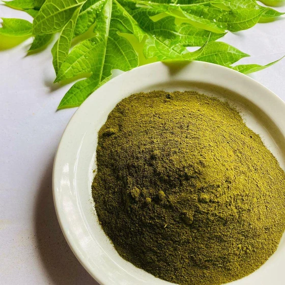 papaya-leaf-powder-2.webp