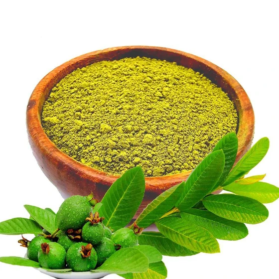 dry-guava-leaf-powder-2.webp