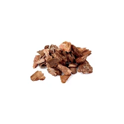 Bark Pine Extract