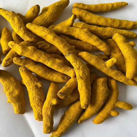 salem-finger-turmeric-2.webp