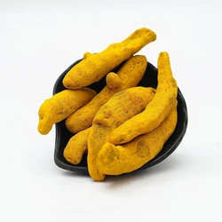 Salem Finger Turmeric