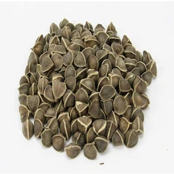 Herbal Moringa Seed