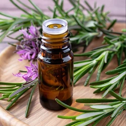 Rose Marry Essential Oil
