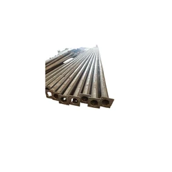 Light Octagonal Poles