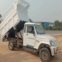 Dumper White Placer