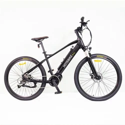 Unfolded Electric Bike