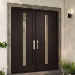 Double Panel Door 