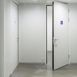 Hinged Acoustic Doors