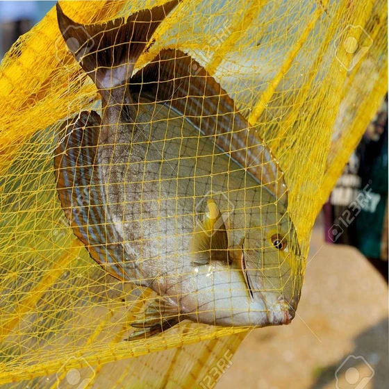 yellow-fishing-net-2.webp