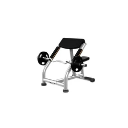 Gym Preacher Bench