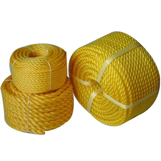 pp-danline-rope-2.webp