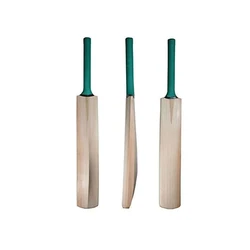 Kashmiri Cricket Bat