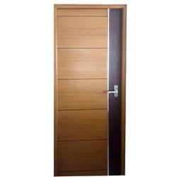 Modern Frp Doors