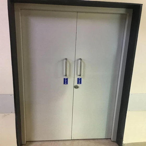 anti-radiation-door-2.webp