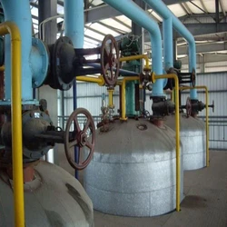 Laundry Soap Plant