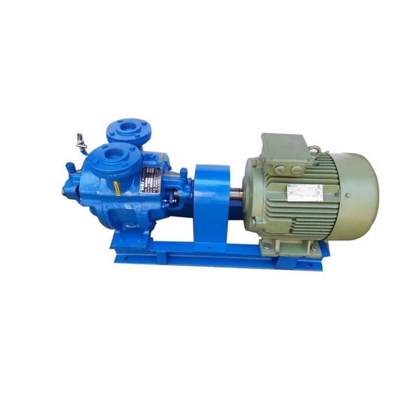 iron-vacuum-pump-2.webp