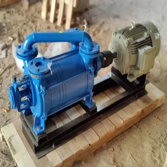 vacuum-two-stage-pump-2.webp