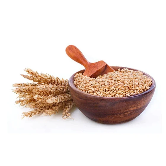 organic-sortex-wheat-2.webp