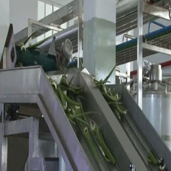 Aloe Vera Processing Plant
