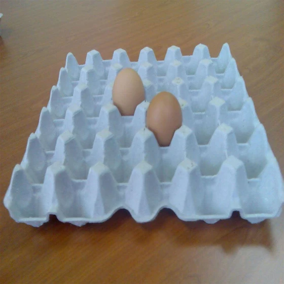 pulp-egg-trays-1.webp