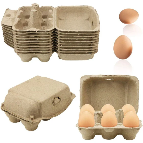 pulp-egg-trays-2.webp