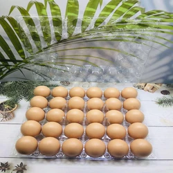 Customized Egg Tray