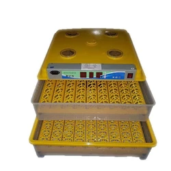 MS Egg Incubator