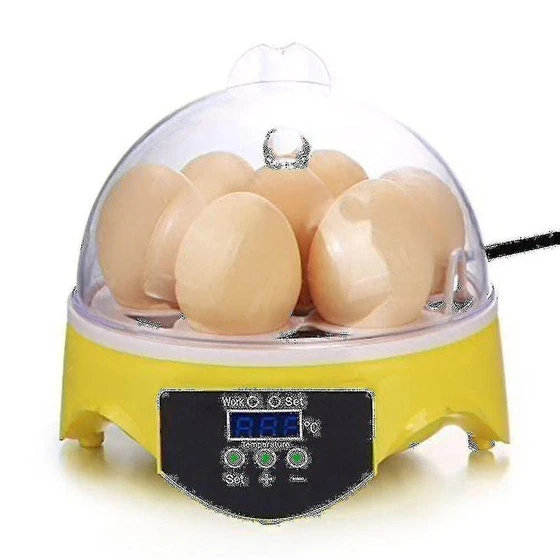 daegen-egg-incubator-2.webp
