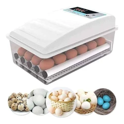 Daegen Egg Incubator