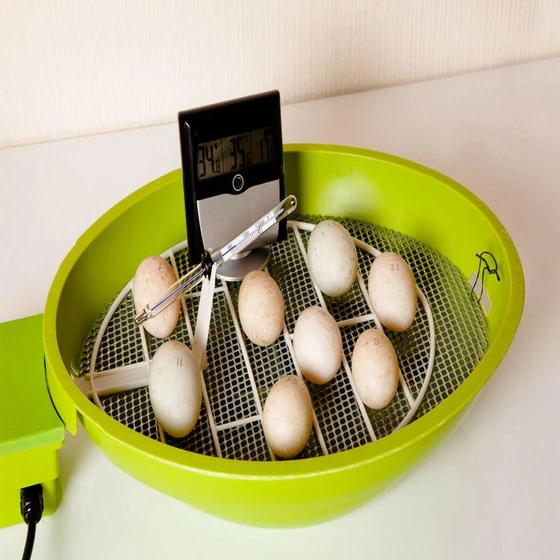 eggs-poultry-hatcher-2.webp
