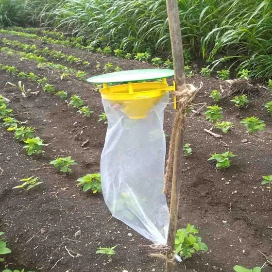 funnel-trap-2.webp