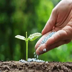 Bio Fertilizer