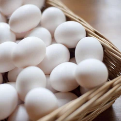White Fresh Eggs