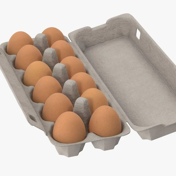 fresh-brown-egg-2.webp
