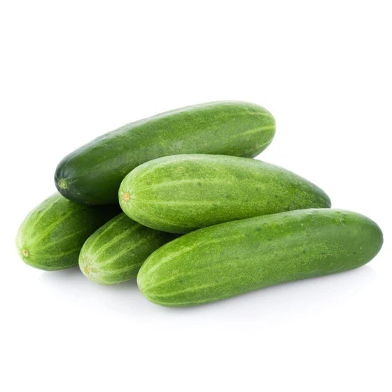 fresh-organic-cucumber-2.webp