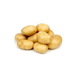 Brown Fresh Potato