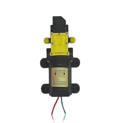 Spray Pump Motor