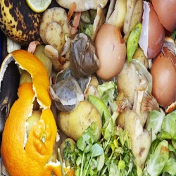 Organic Waste Composting