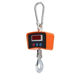 Electronic Crane Scale