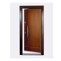 Single Steel Door 