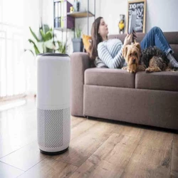 Home Air Purifier
